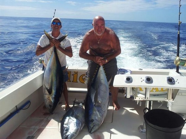 3 Big Eye och 2 Albacore-tonfiskar Cavalier & Blue Marlin Sport Fishing Gran Canaria