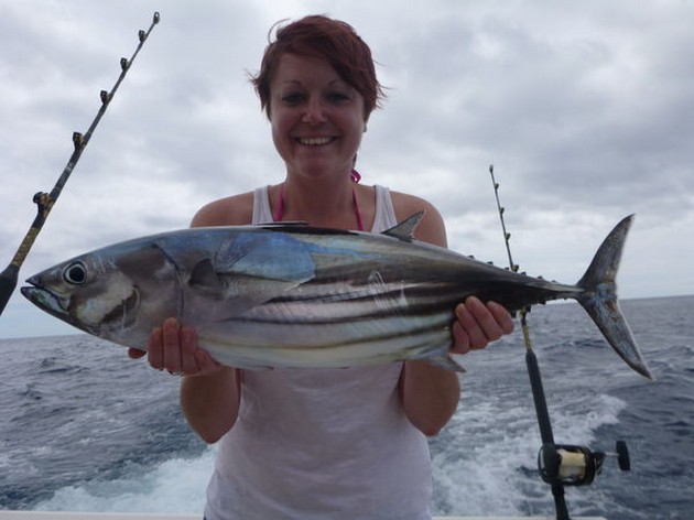 Skipjack Tunas på båten Cavalier Cavalier & Blue Marlin Sport Fishing Gran Canaria