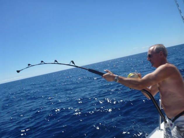 Alan Hughes caught  30 lbs Roughtail Stingray Cavalier & Blue Marlin Sport Fishing Gran Canaria