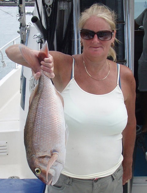 Red Snapper Cavalier & Blue Marlin Sport Fishing Gran Canaria