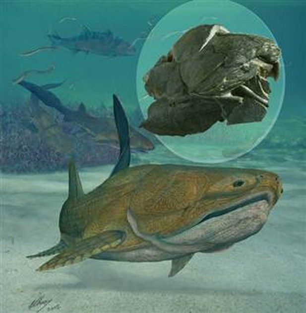 Wetenschappers ontdekken oudste gezicht ooit Cavalier & Blue Marlin Sport Fishing Gran Canaria