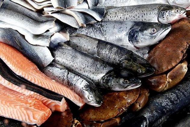 Vis mogelijk toch geen kwikbom Cavalier & Blue Marlin Sport Fishing Gran Canaria