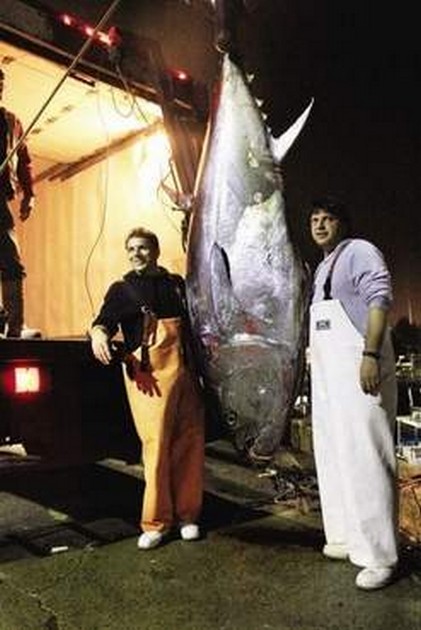 413 kilo Blauwvin tonijn Cavalier & Blue Marlin Sport Fishing Gran Canaria