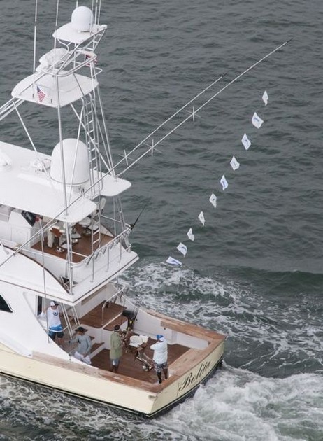 145 Blue Marlin släppt Cavalier & Blue Marlin Sport Fishing Gran Canaria