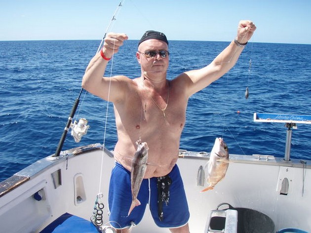 Snappers & Roggen Cavalier & Blue Marlin Sport Fishing Gran Canaria