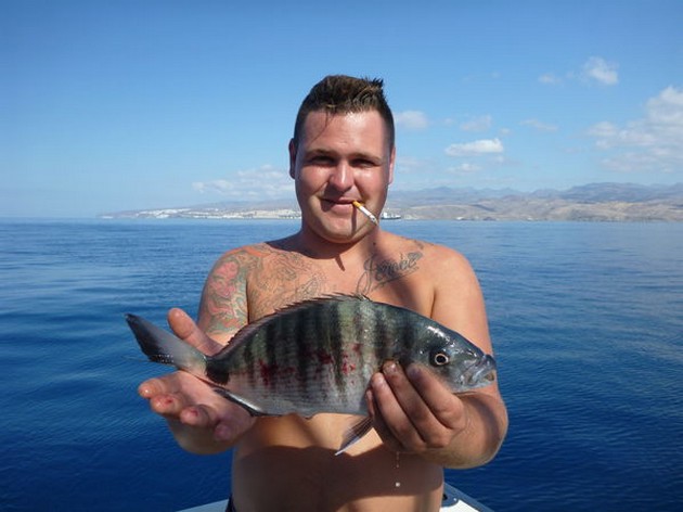 Well Done Cavalier & Blue Marlin Sport Fishing Gran Canaria