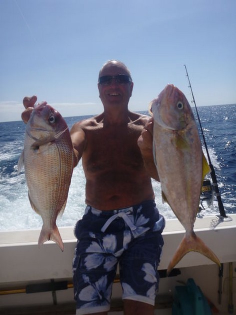 Snapper + Amberjack - Good sized Red Snapper and Amberjack caught by Dick Peckham Cavalier & Blue Marlin Sport Fishing Gran Canaria