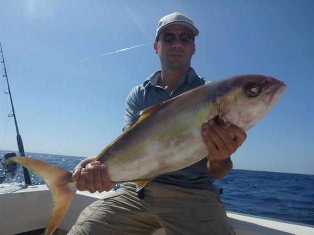 Amberjack caught by Michael Andersen from Denmark Cavalier & Blue Marlin Sport Fishing Gran Canaria