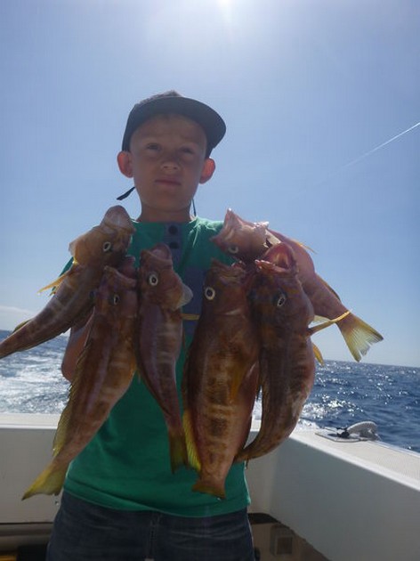 Comber - Nice catch of comber fish on the boat Cavalier Cavalier & Blue Marlin Sport Fishing Gran Canaria