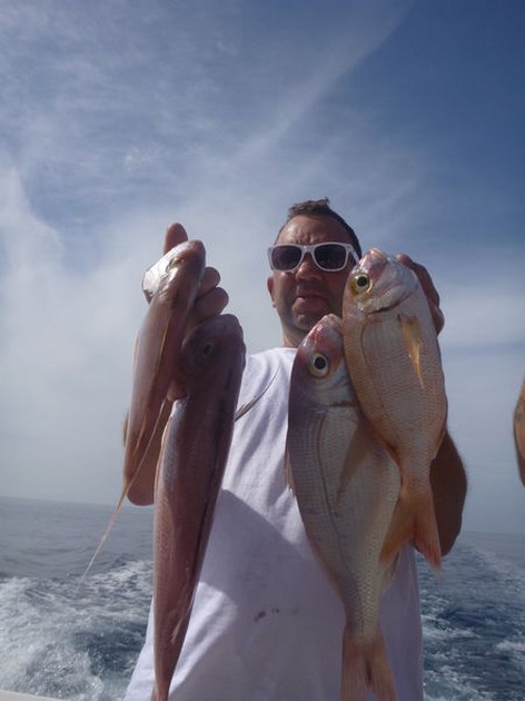 Red Snappers Cavalier & Blue Marlin Sport Fishing Gran Canaria