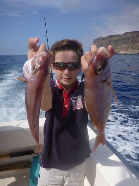 Red Snappers Cavalier & Blue Marlin Sport Fishing Gran Canaria