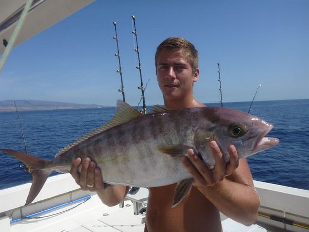 Amberjacks, Roggen, Murenes, Zaagbaars, Snappers,Mako........enz Cavalier & Blue Marlin Sport Fishing Gran Canaria