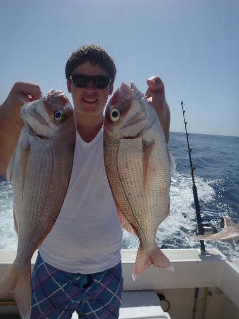 Red Snappers caught by Glenn Arens Cavalier & Blue Marlin Sport Fishing Gran Canaria