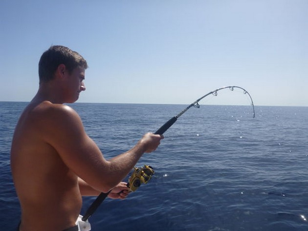 Hooked Up - Hooked up on the boat Cavalier Cavalier & Blue Marlin Sport Fishing Gran Canaria