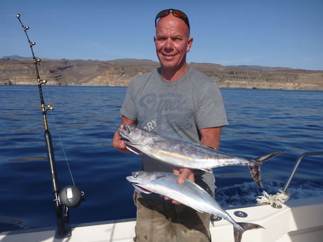 Atlantic Bonito's on the boat Cavalier Cavalier & Blue Marlin Sport Fishing Gran Canaria