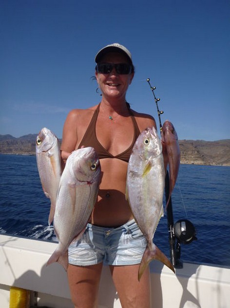 Red Snappers Cavalier & Blue Marlin Sport Fishing Gran Canaria