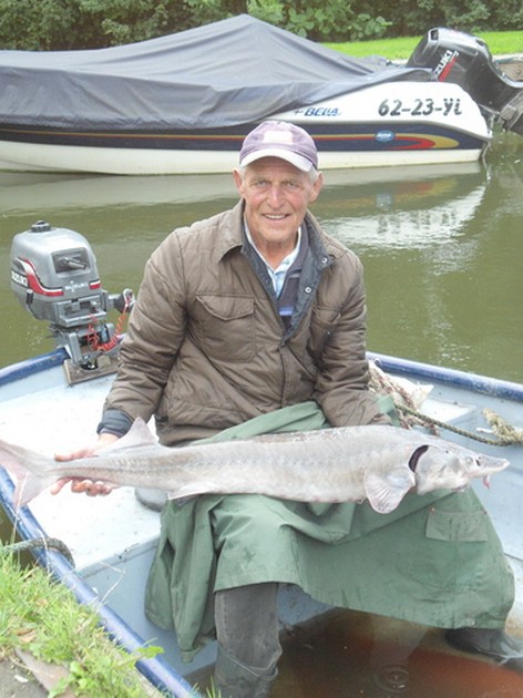 Russische Steur in het Alkmaardermeer. Cavalier & Blue Marlin Sport Fishing Gran Canaria