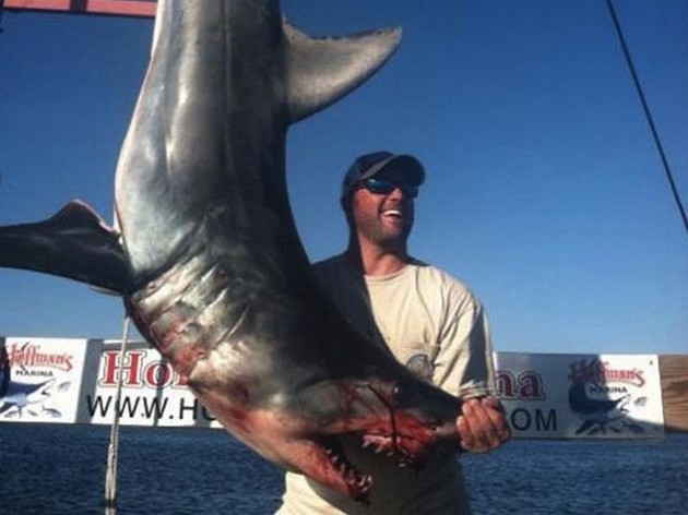 Haai valt bootvissers aan Cavalier & Blue Marlin Sport Fishing Gran Canaria