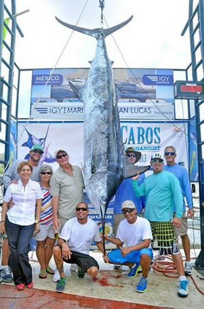 Mexikansk kvinna fångar fisk från 1 miljon dollar Cavalier & Blue Marlin Sport Fishing Gran Canaria
