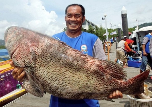 Fisketurnering i Maylasia Cavalier & Blue Marlin Sport Fishing Gran Canaria