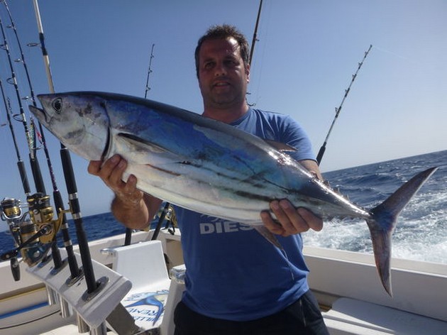 Skipjack Tuna - Stephen from England shows a beautifull Skipjack Tuna Cavalier & Blue Marlin Sport Fishing Gran Canaria