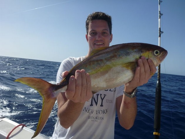 Amberjack Cavalier & Blue Marlin Sport Fishing Gran Canaria