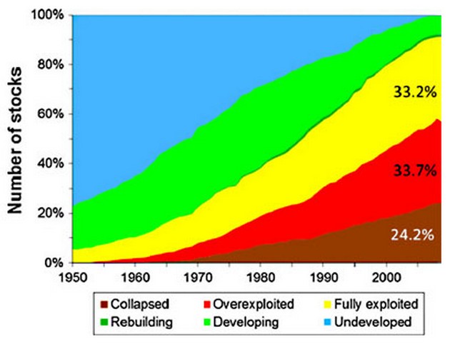 Hur illa överfiskar vi haven? Cavalier & Blue Marlin Sport Fishing Gran Canaria