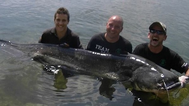 76,500 kilo Meerval in de Ebro Cavalier & Blue Marlin Sport Fishing Gran Canaria
