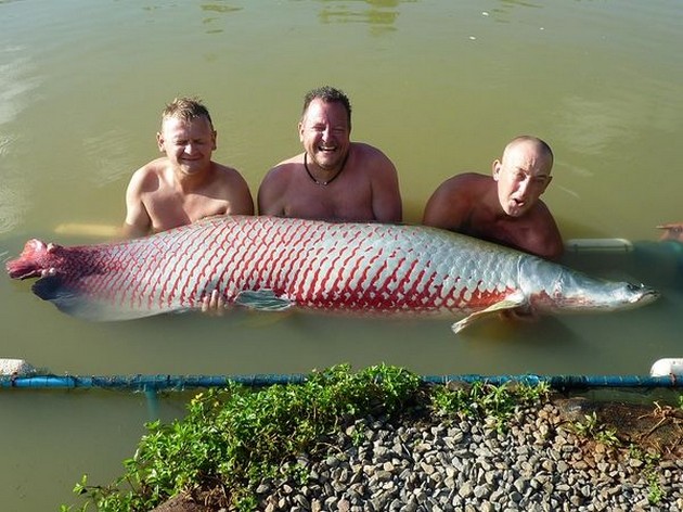 360 pund Arapaima Cavalier & Blue Marlin Sport Fishing Gran Canaria