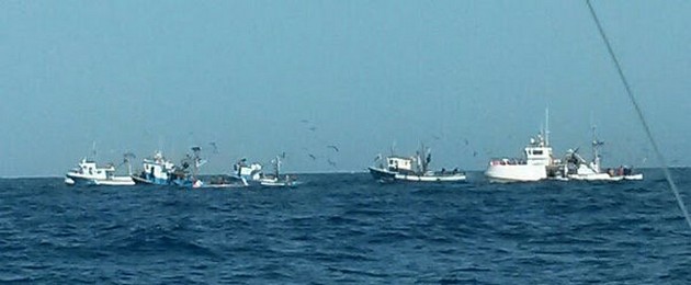 1 Albacore och 2 Wahoo förlorade Cavalier & Blue Marlin Sport Fishing Gran Canaria