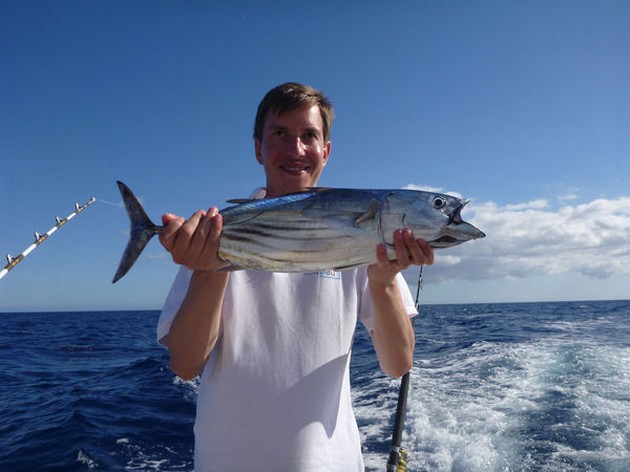 Skipjack Tuna Cavalier & Blue Marlin Sport Fishing Gran Canaria
