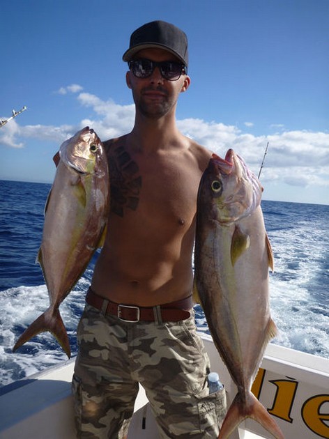 Amberjacks caught by Tim Schevernels from Belgium Cavalier & Blue Marlin Sport Fishing Gran Canaria