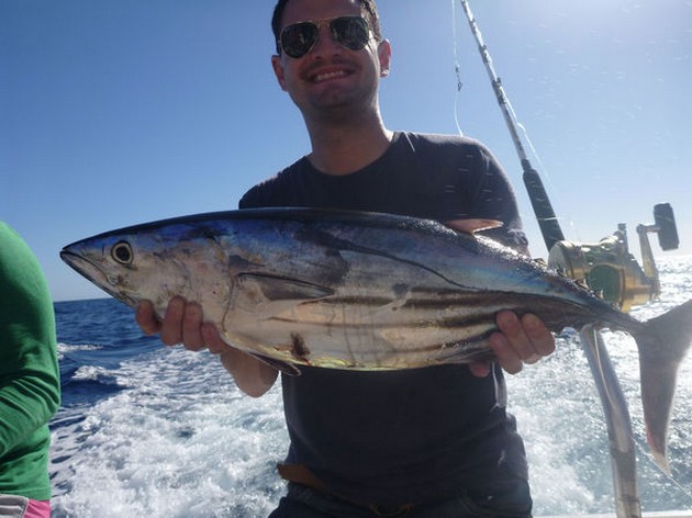Skipjack Tuna Cavalier & Blue Marlin Sport Fishing Gran Canaria