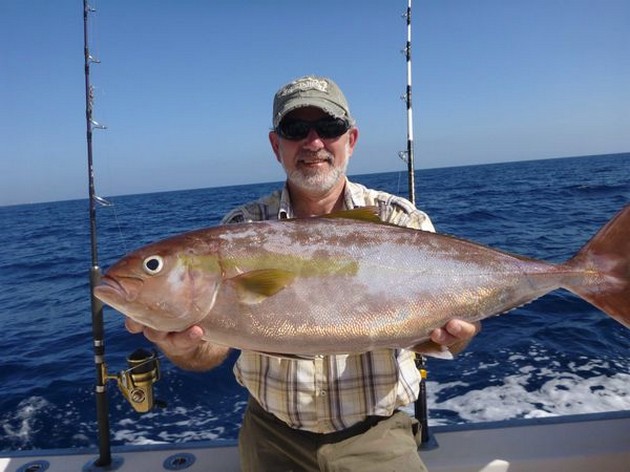 Amberjacks - Great catch on the boat Cavalier Cavalier & Blue Marlin Sport Fishing Gran Canaria