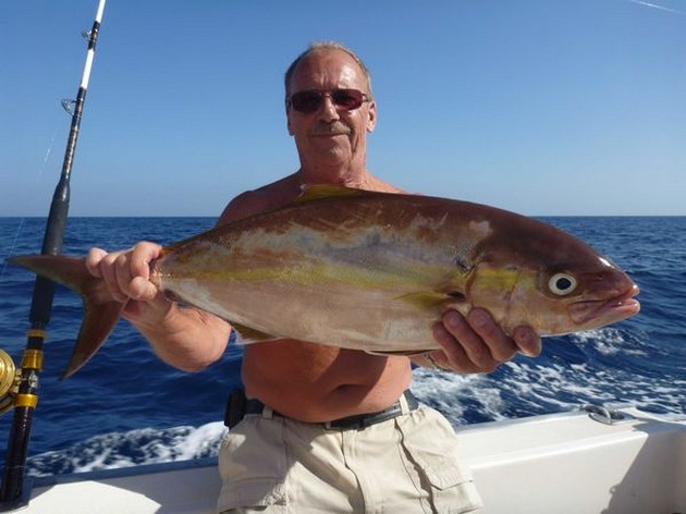 Amberjack Cavalier & Blue Marlin Sport Fishing Gran Canaria