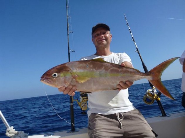 Amberjack Cavalier & Blue Marlin Sport Fishing Gran Canaria