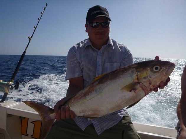 Amberjack Cavalier & Blue Marlin Sport Fishing Gran Canaria
