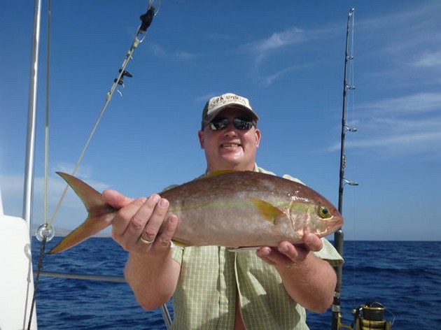 Amberjack Cavalier & Blue Marlin Sport Fishing Gran Canaria