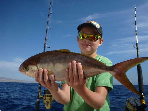 Amberjack Cavalier & Blue Marlin Sport Fishing Gran Canaria