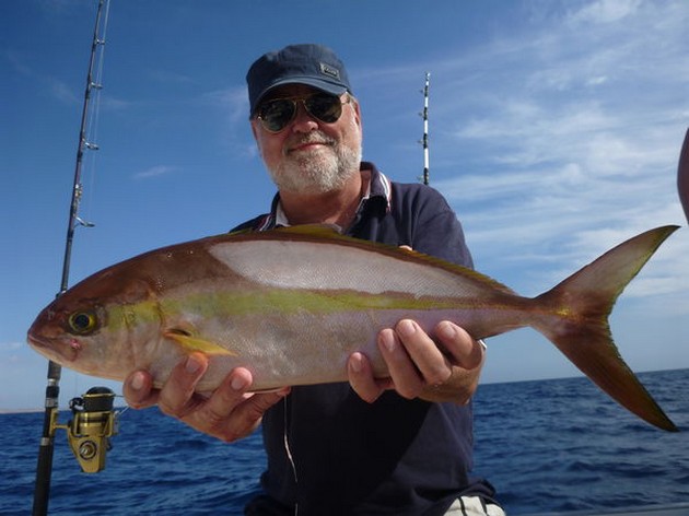 Amberjack Cavalier & Blue Marlin Sport Fishing Gran Canaria