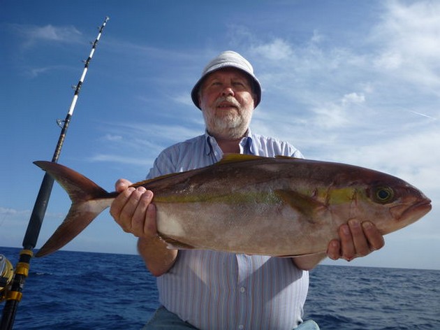 Amberjack Cavalier & Blue Marlin Sport Fishing Gran Canaria