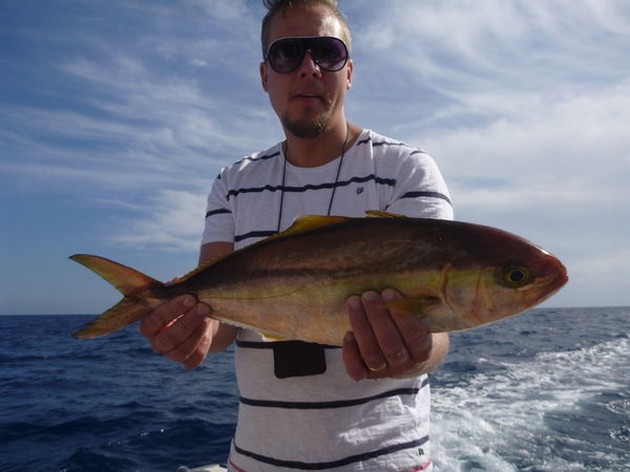 Amberjack Cavalier & Blue Marlin Sport Fishing Gran Canaria