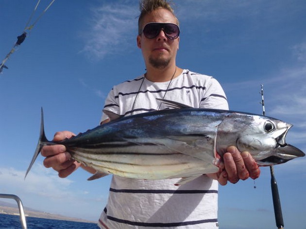 Skipjack Tuna Cavalier & Blue Marlin Sport Fishing Gran Canaria