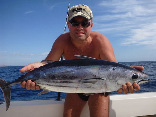 Skipjack Tuna Cavalier & Blue Marlin Sport Fishing Gran Canaria