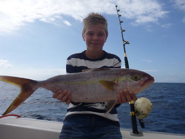 Amberjack - Beautiful Amberjack caught by Anton Aberg Cavalier & Blue Marlin Sport Fishing Gran Canaria