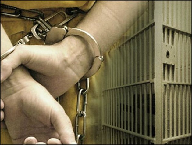 American sentenced for live shark poaching operation Cavalier & Blue Marlin Sport Fishing Gran Canaria