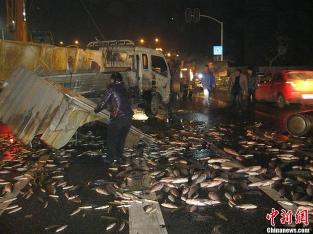 3500 kilo verse vis op de weg ! Cavalier & Blue Marlin Sport Fishing Gran Canaria