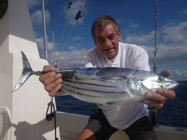 Skipjack Tuna caught by Jaap Kloos from Holland Cavalier & Blue Marlin Sport Fishing Gran Canaria