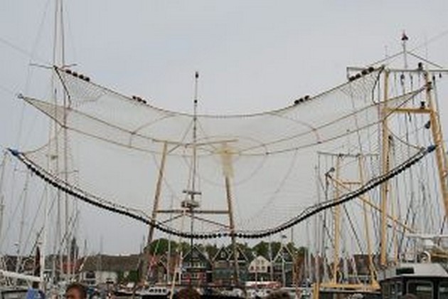 Urkers ontkennen bewust ‘omkatten’ van vis Cavalier & Blue Marlin Sport Fishing Gran Canaria