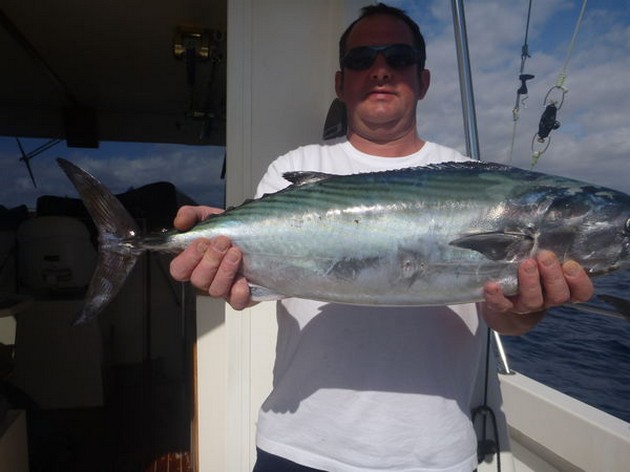 Atlantic Bonito Cavalier & Blue Marlin Sport Fishing Gran Canaria